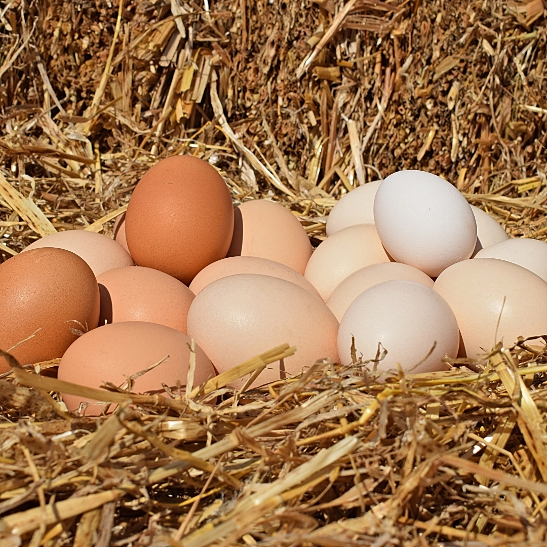 Huevos - ¿Cuándo caduca un huevo?